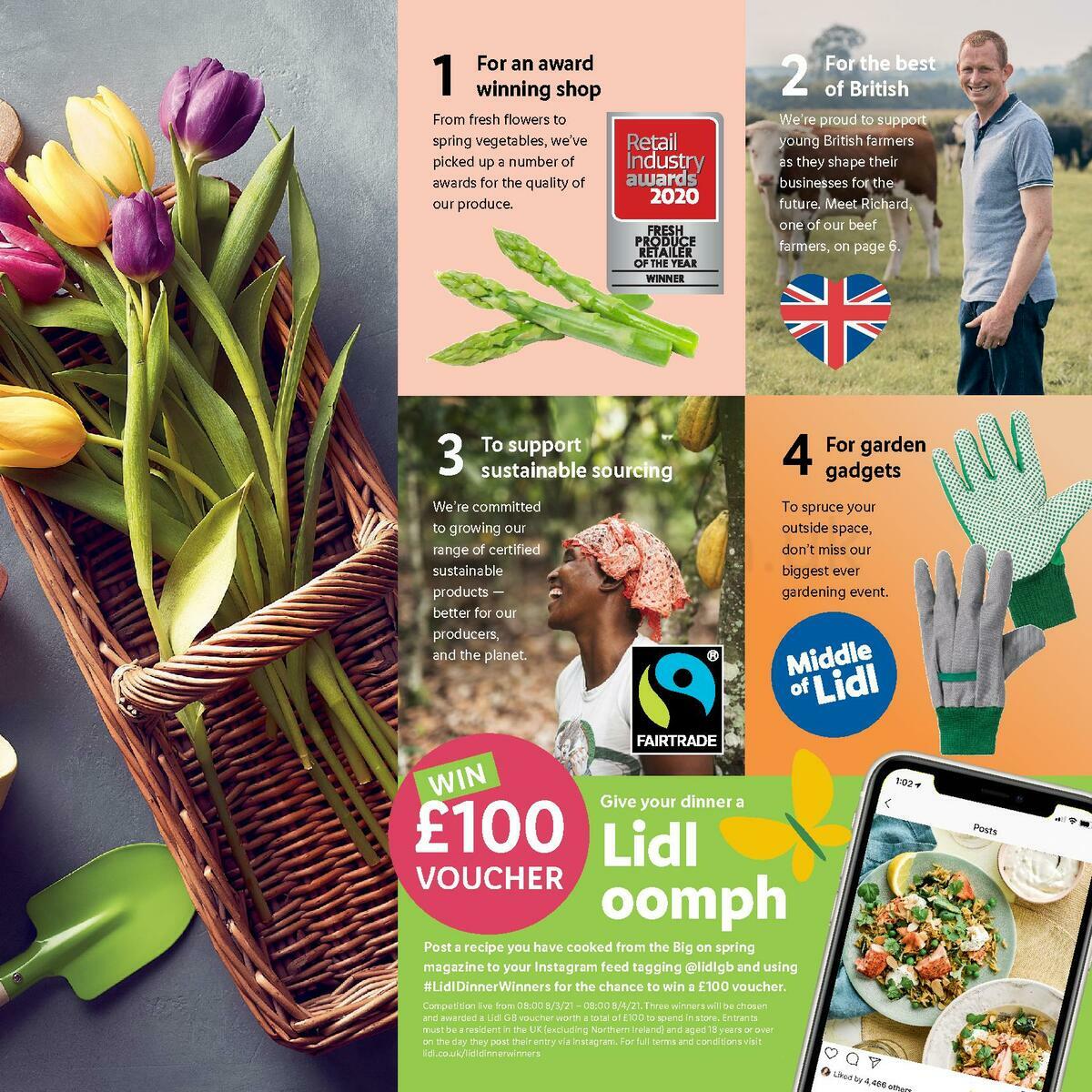LIDL Spring Magazine Offers from 8 March