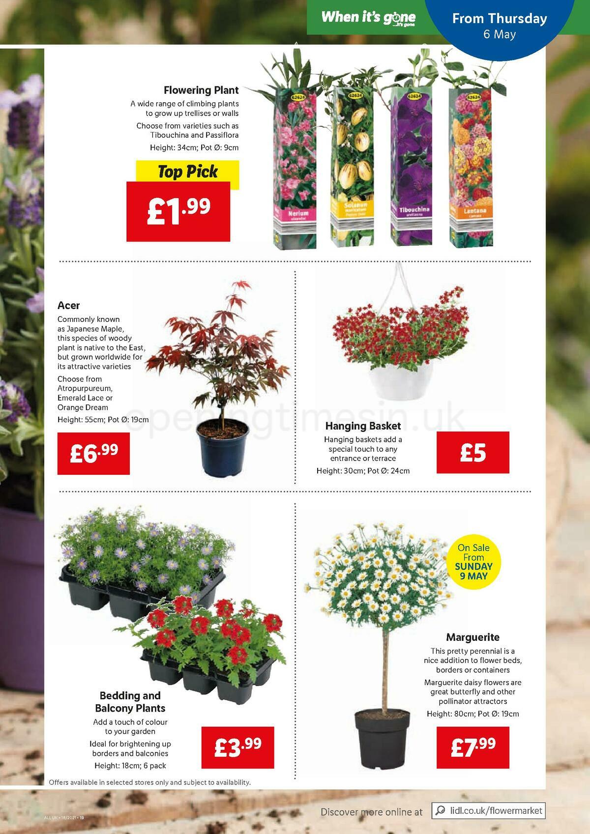 LIDL Offers from 6 May