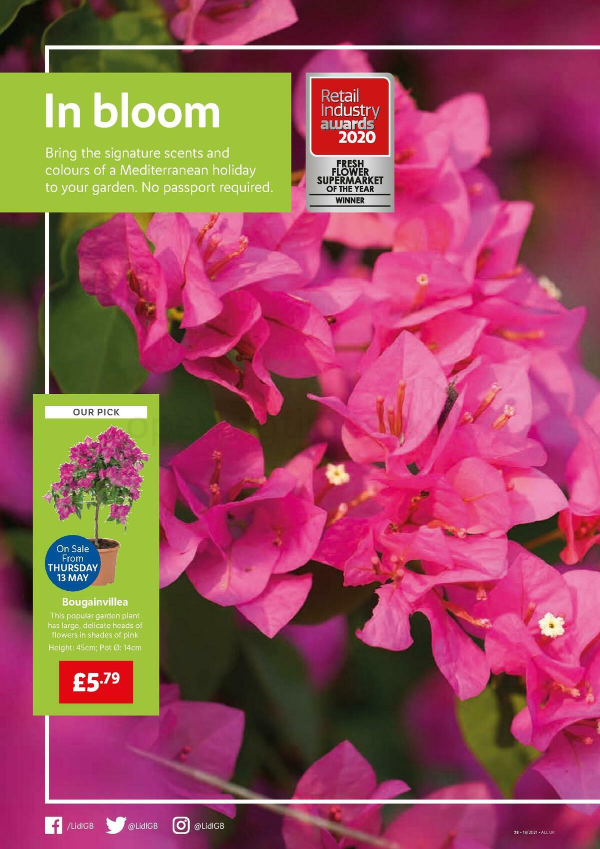 LIDL Offers from 13 May