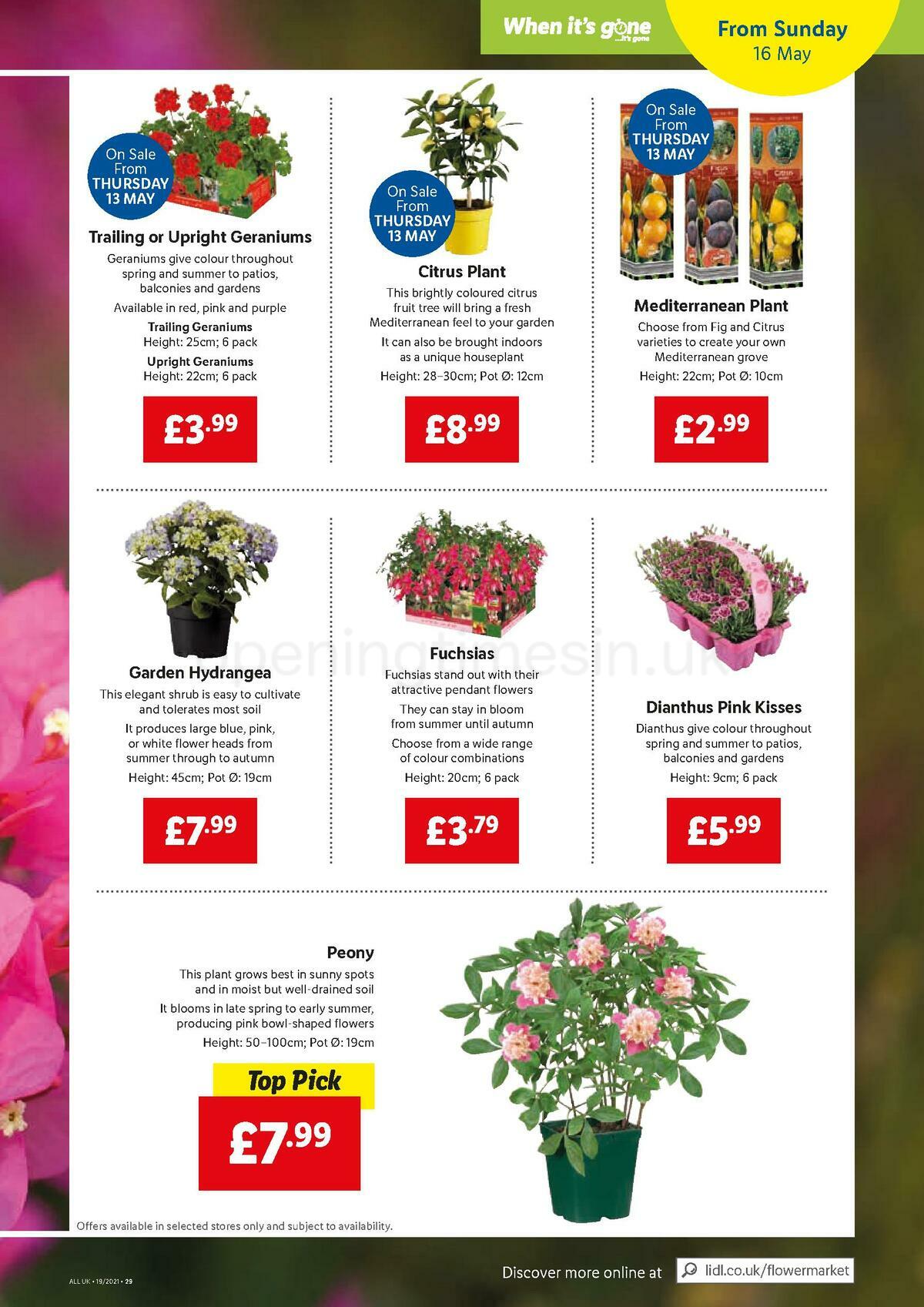 LIDL Offers from 13 May