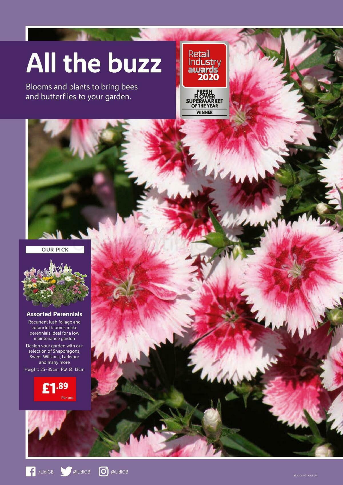 LIDL Offers from 20 May