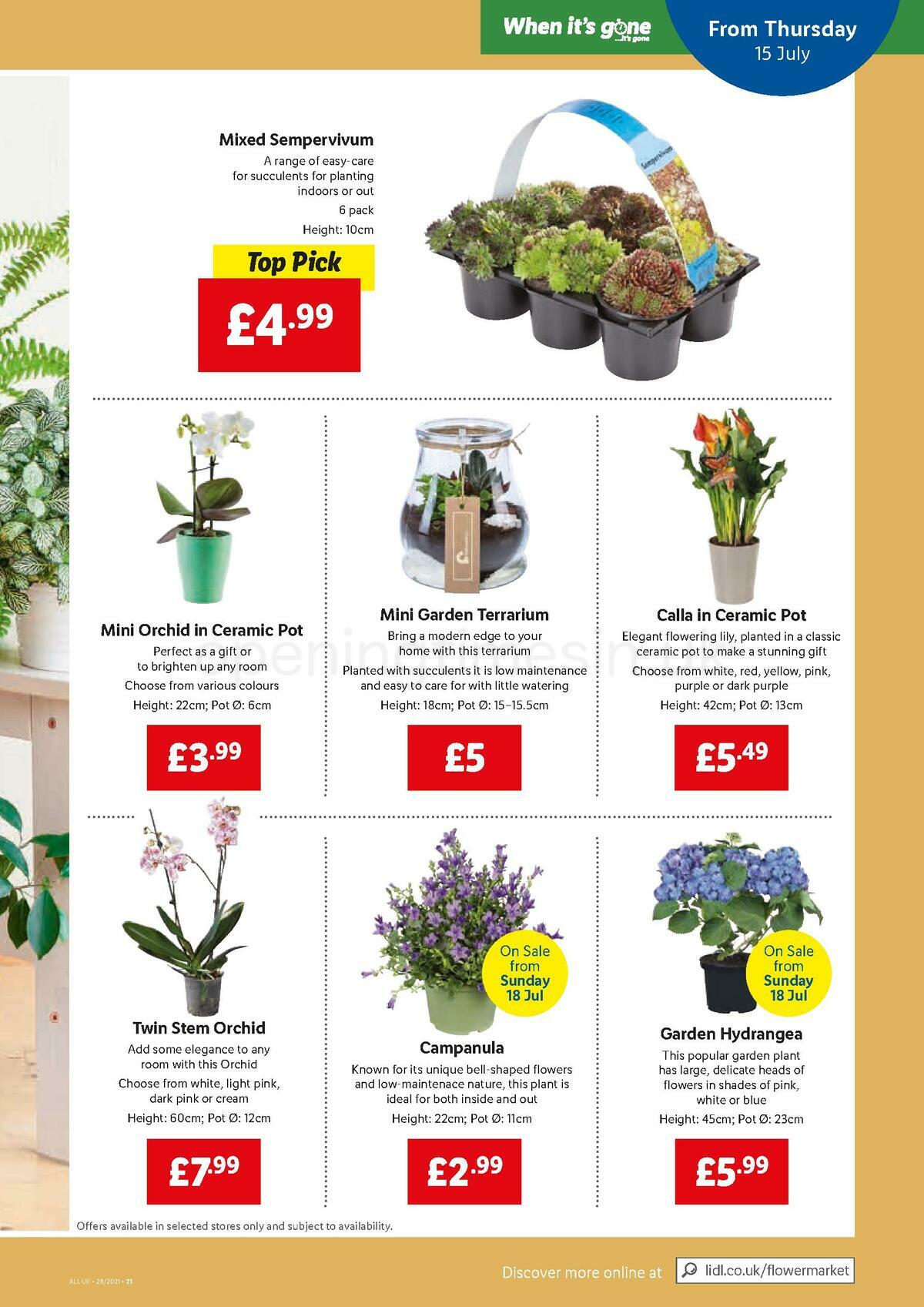 LIDL Offers from 15 July
