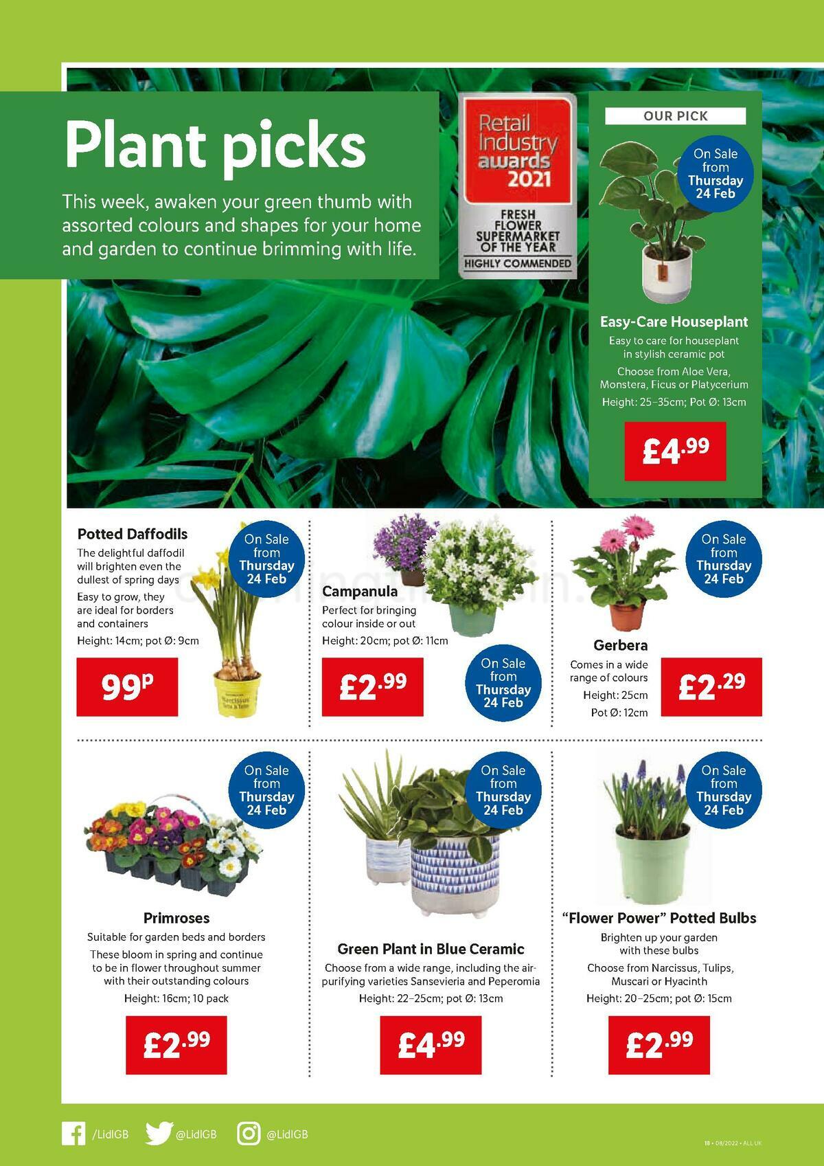 LIDL Offers from 24 February