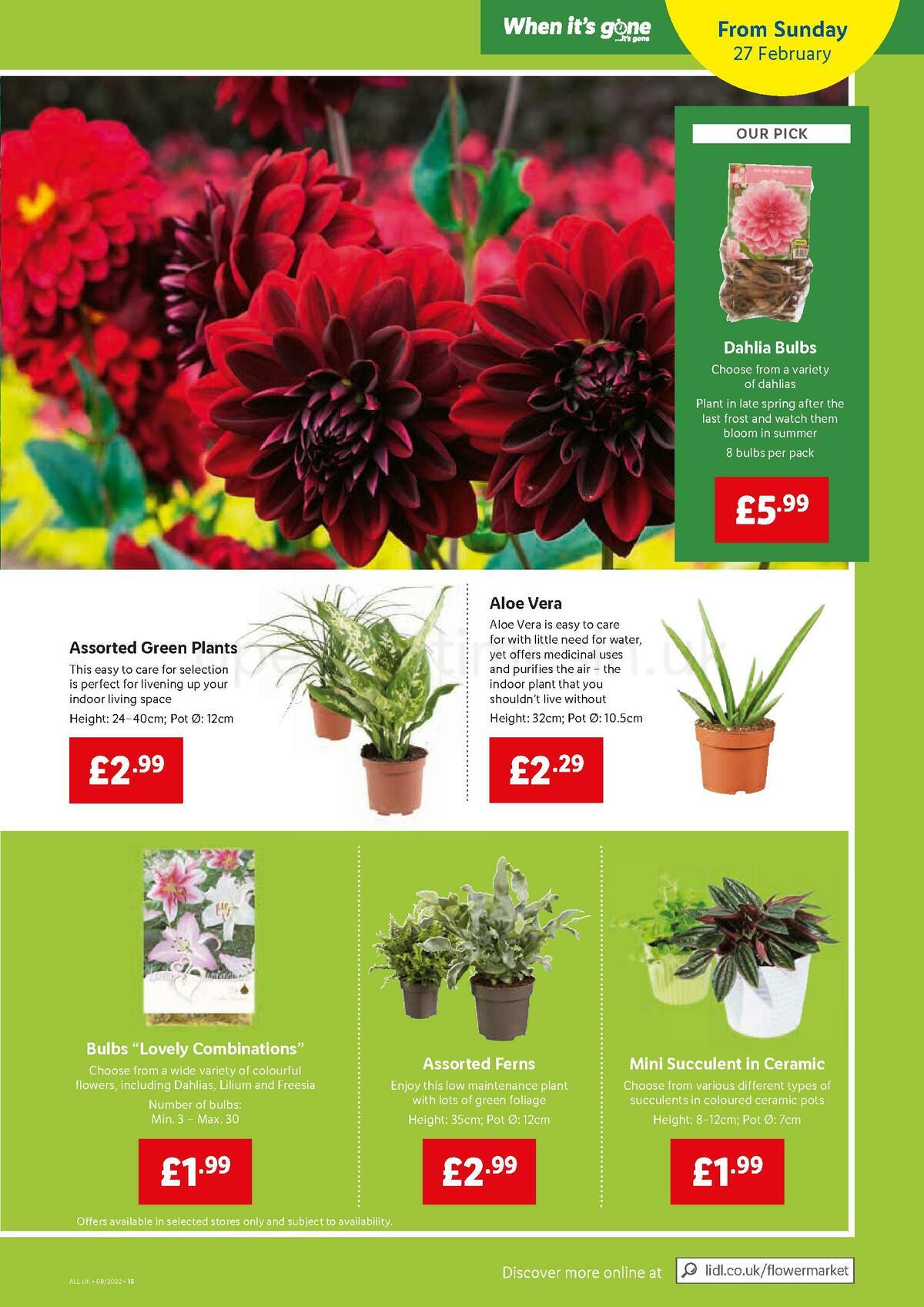 LIDL Offers from 24 February