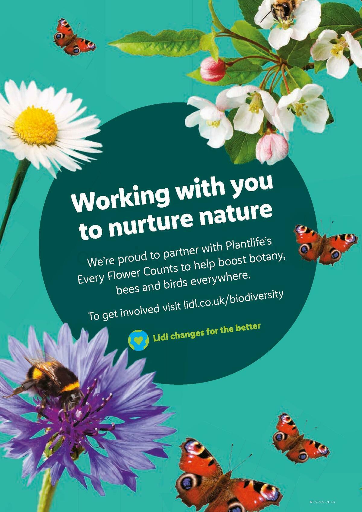 LIDL Offers from 2 June