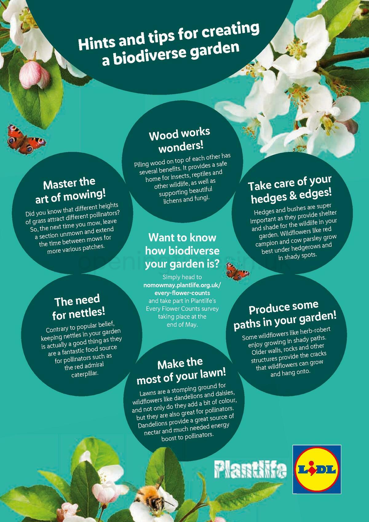 LIDL Offers from 2 June