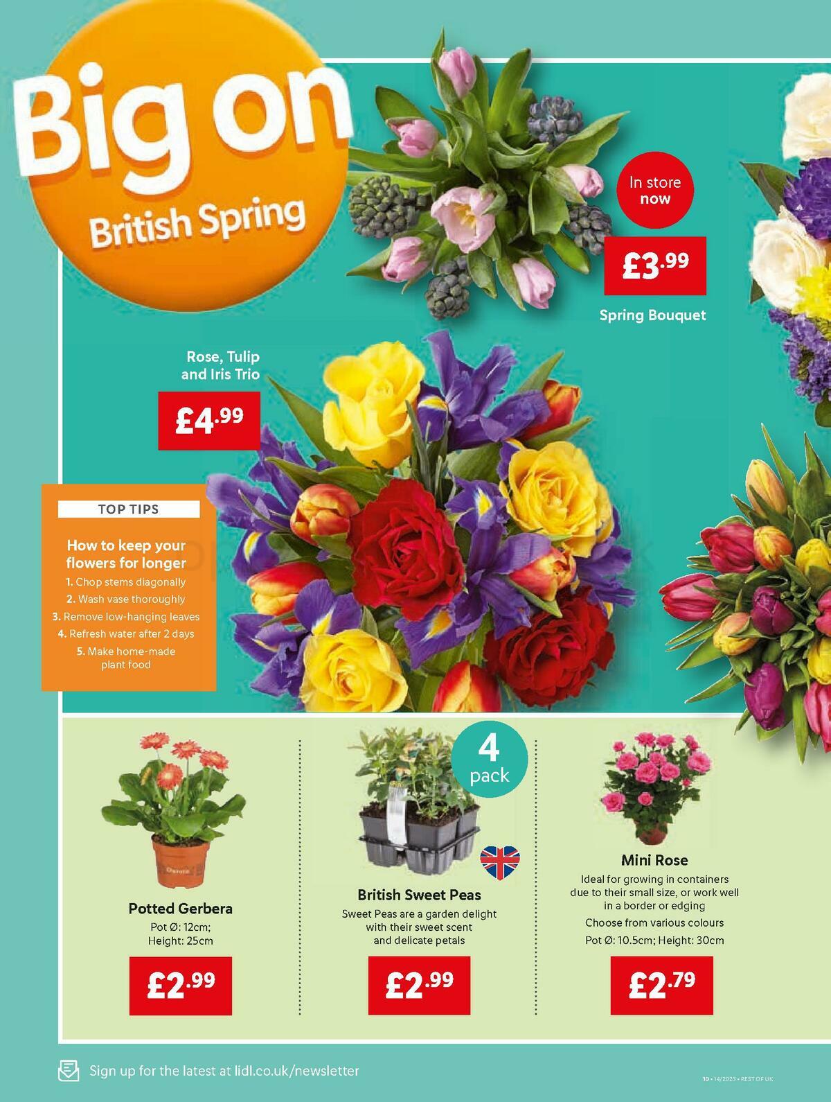 LIDL Offers from 6 April