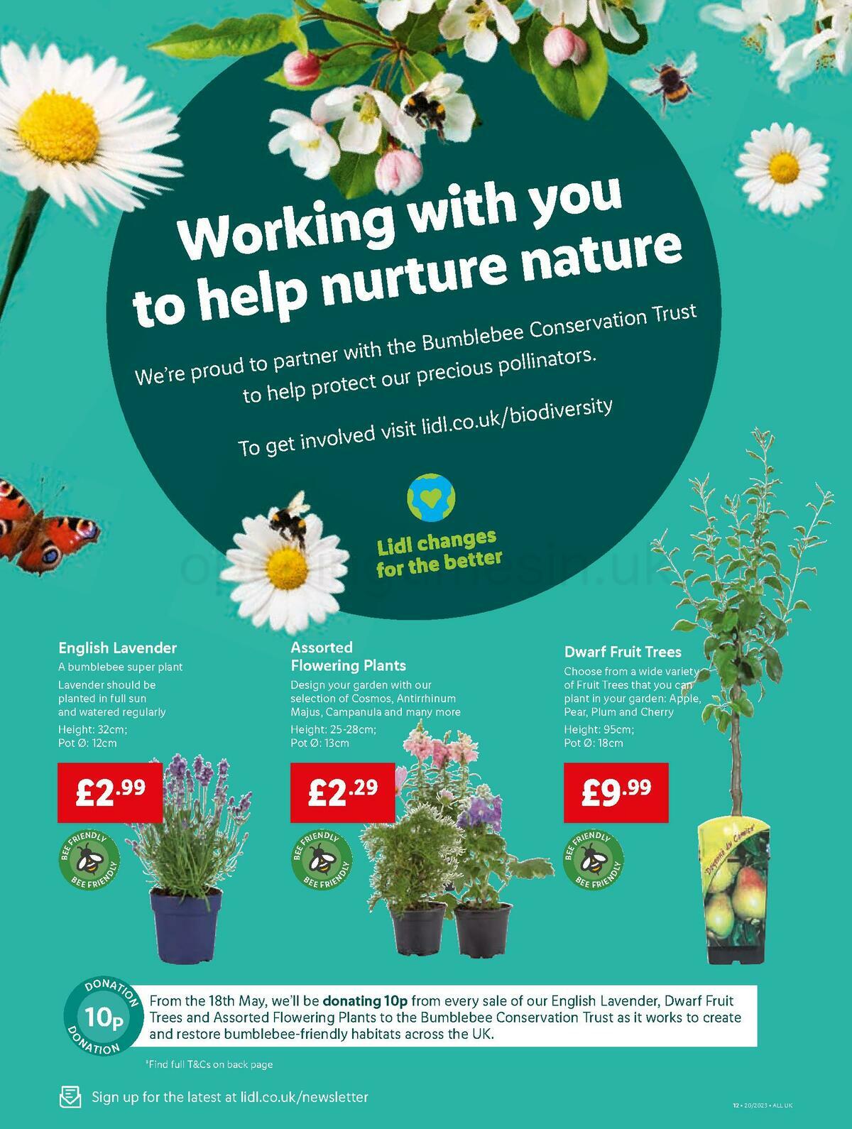 LIDL Offers from 18 May