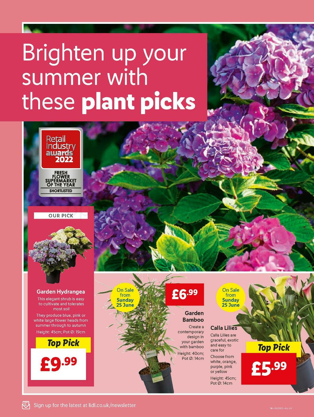 LIDL Offers from 22 June