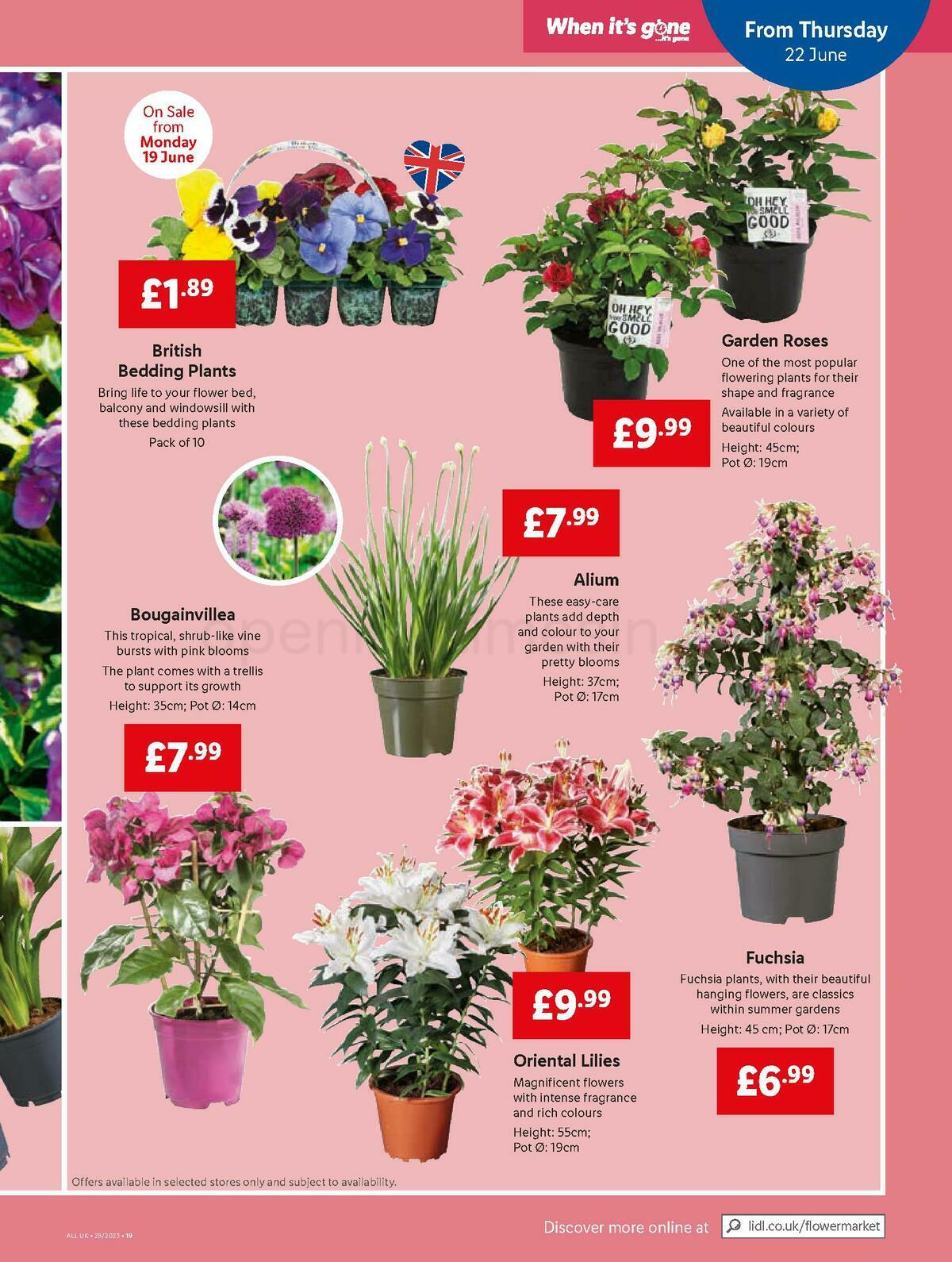LIDL Offers from 22 June