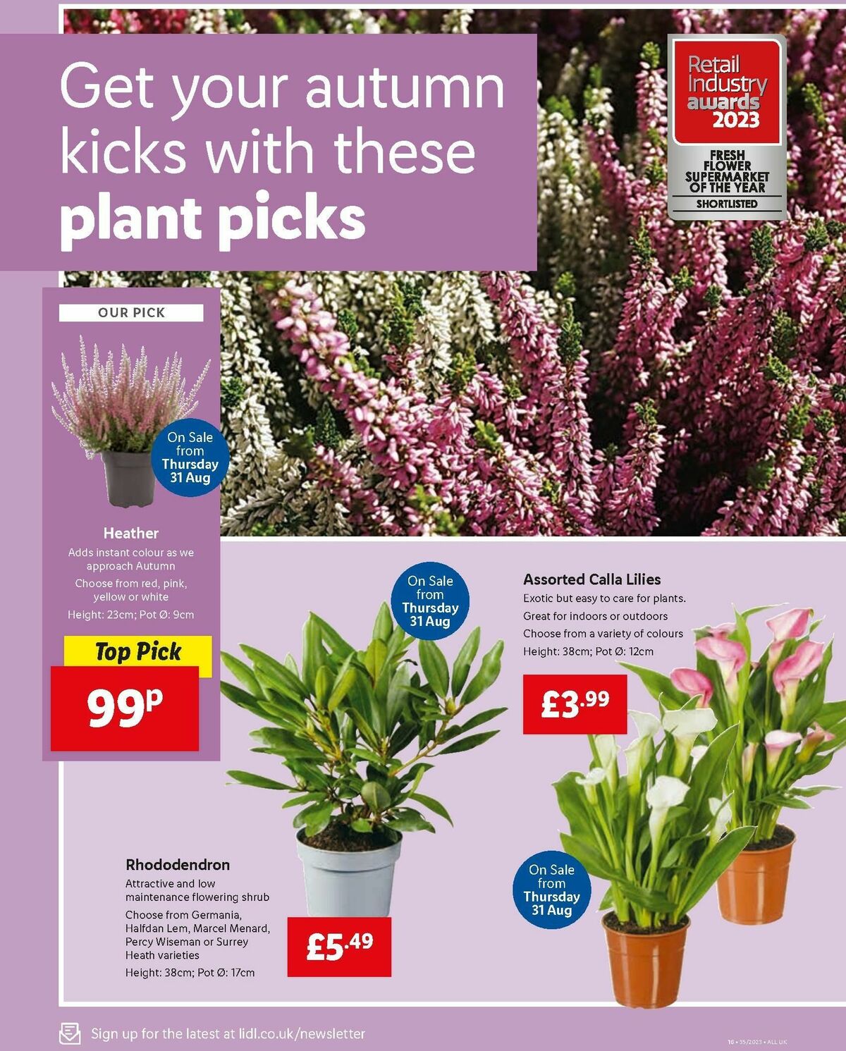 LIDL Offers from 31 August