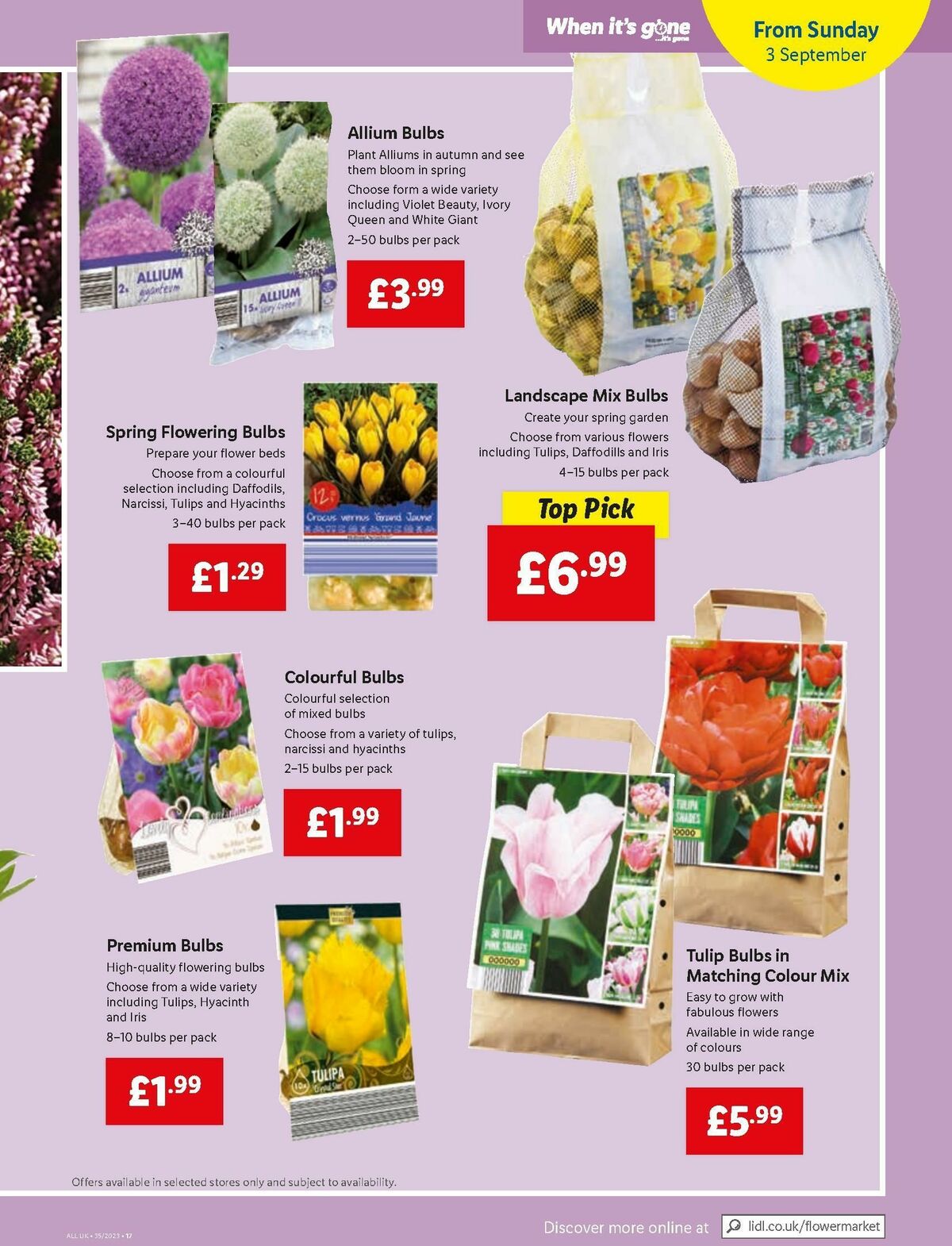 LIDL Offers from 31 August