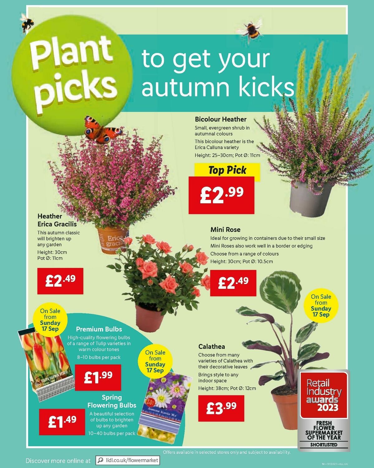 LIDL Offers from 14 September