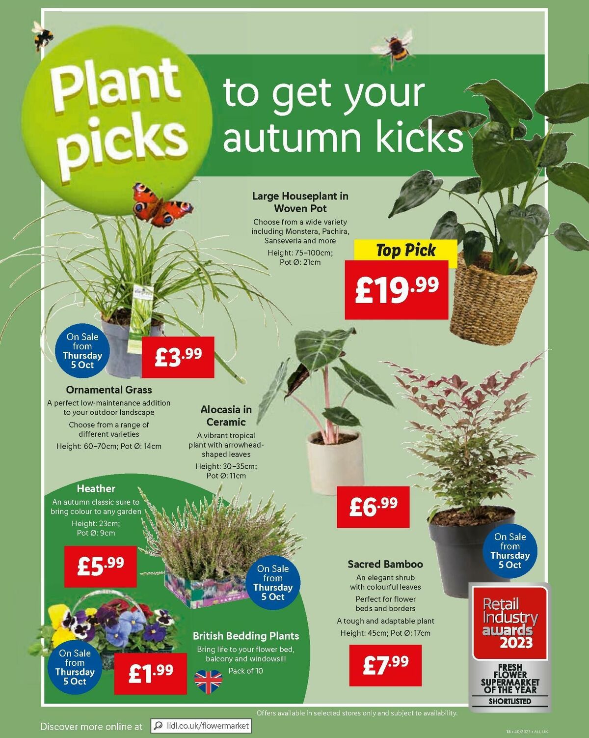 LIDL Offers from 5 October