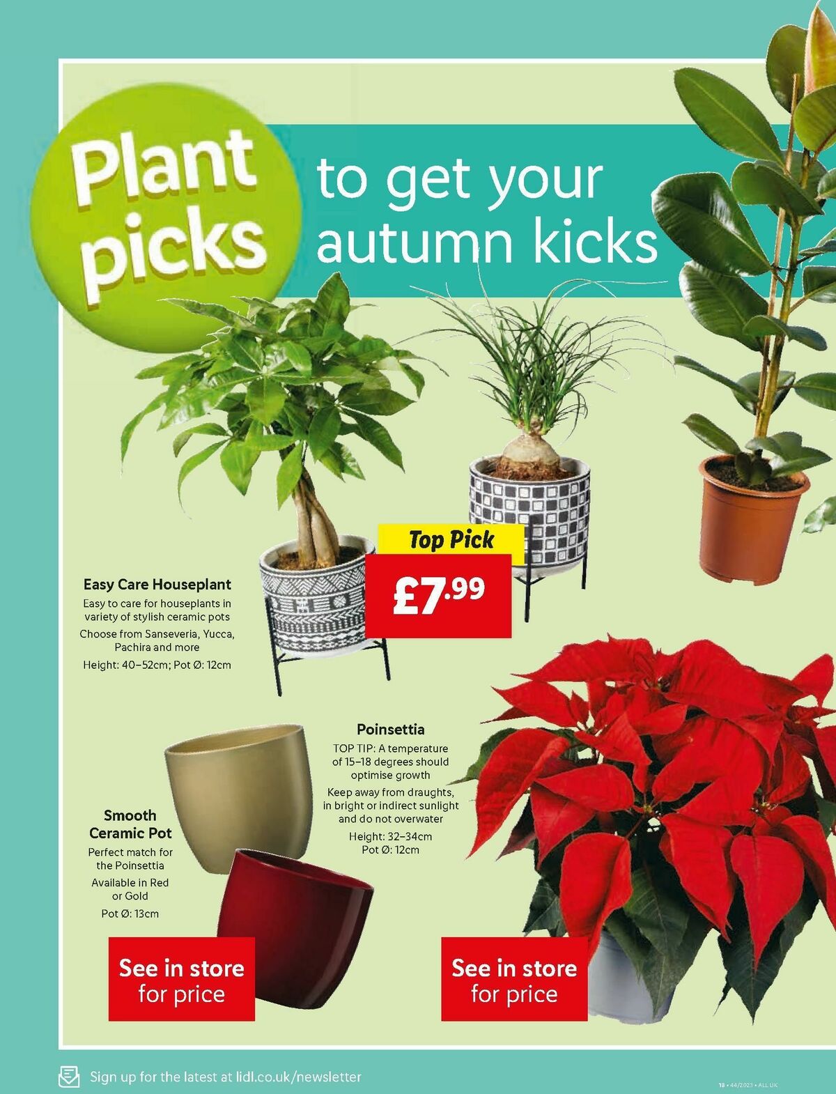 LIDL Offers from 2 November