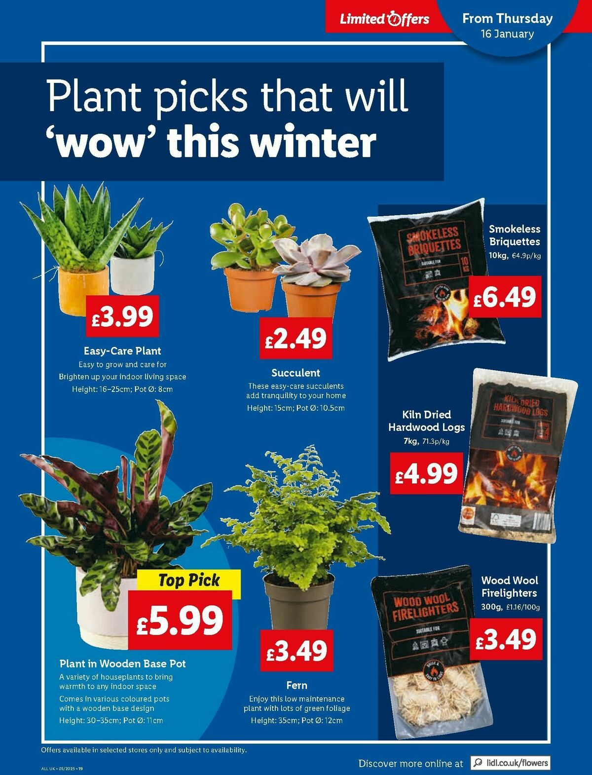 LIDL Wales Offers from 16 January