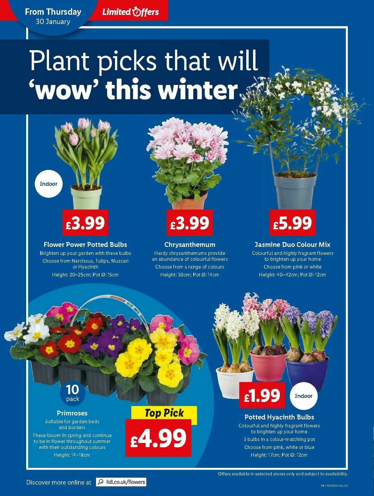 LIDL Wales Offers from 30 January