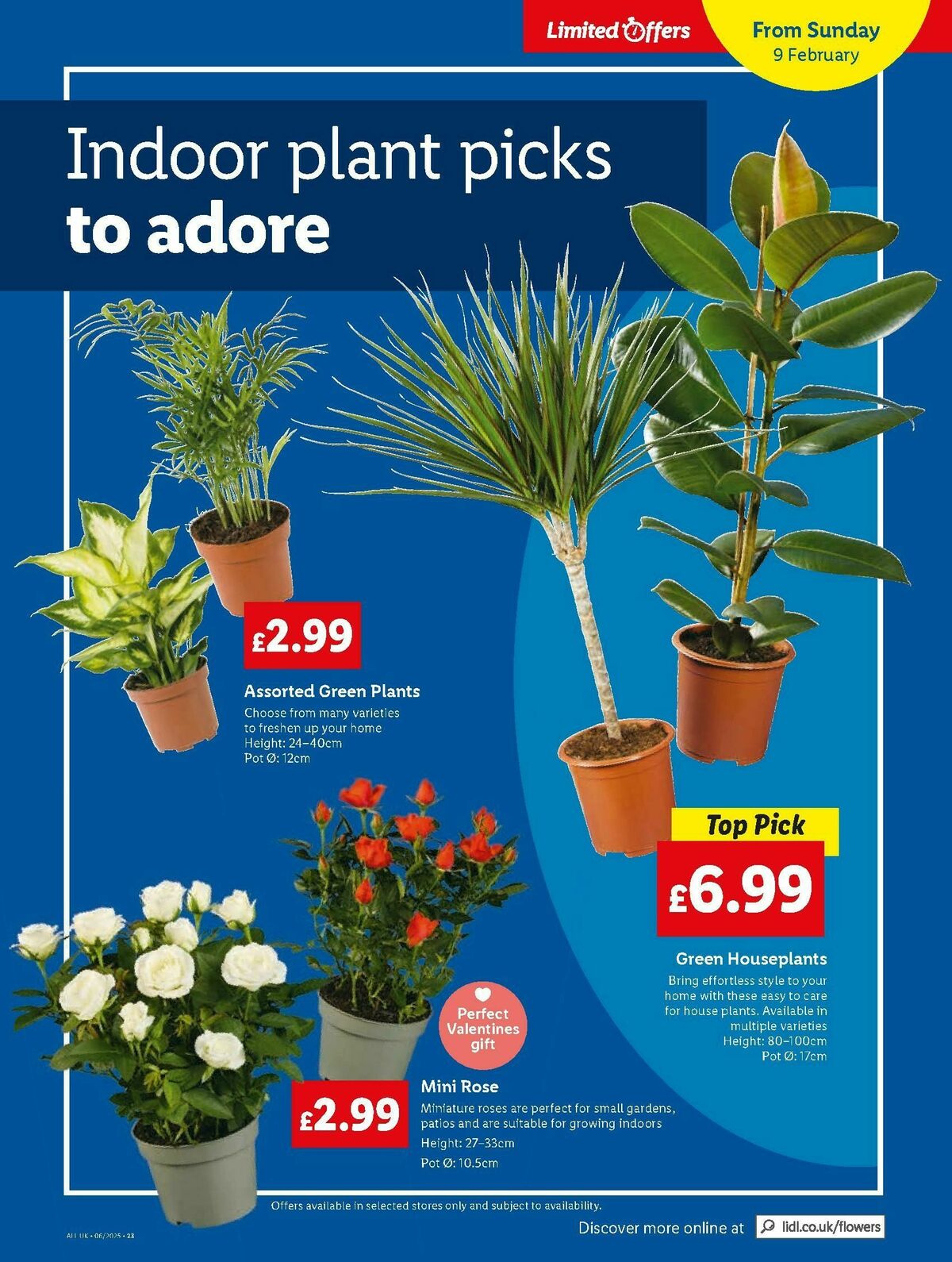 LIDL Offers from 6 February