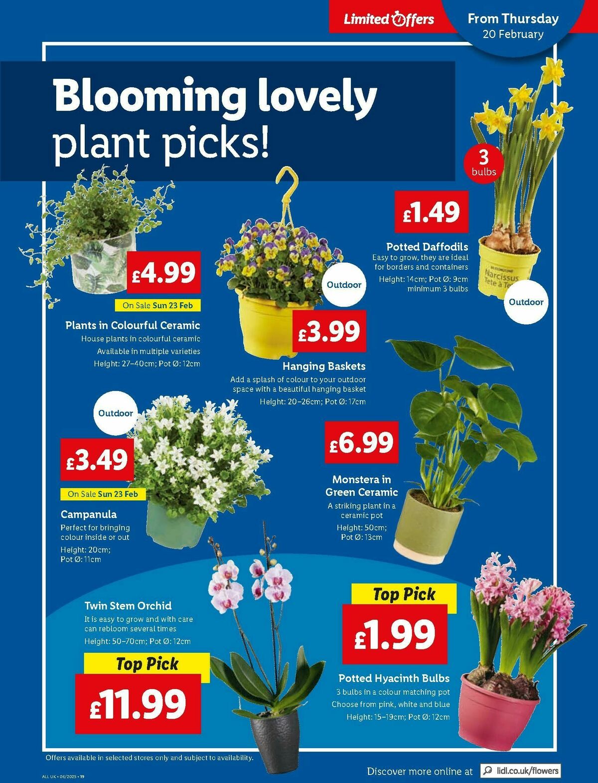 LIDL Wales Offers from 20 February
