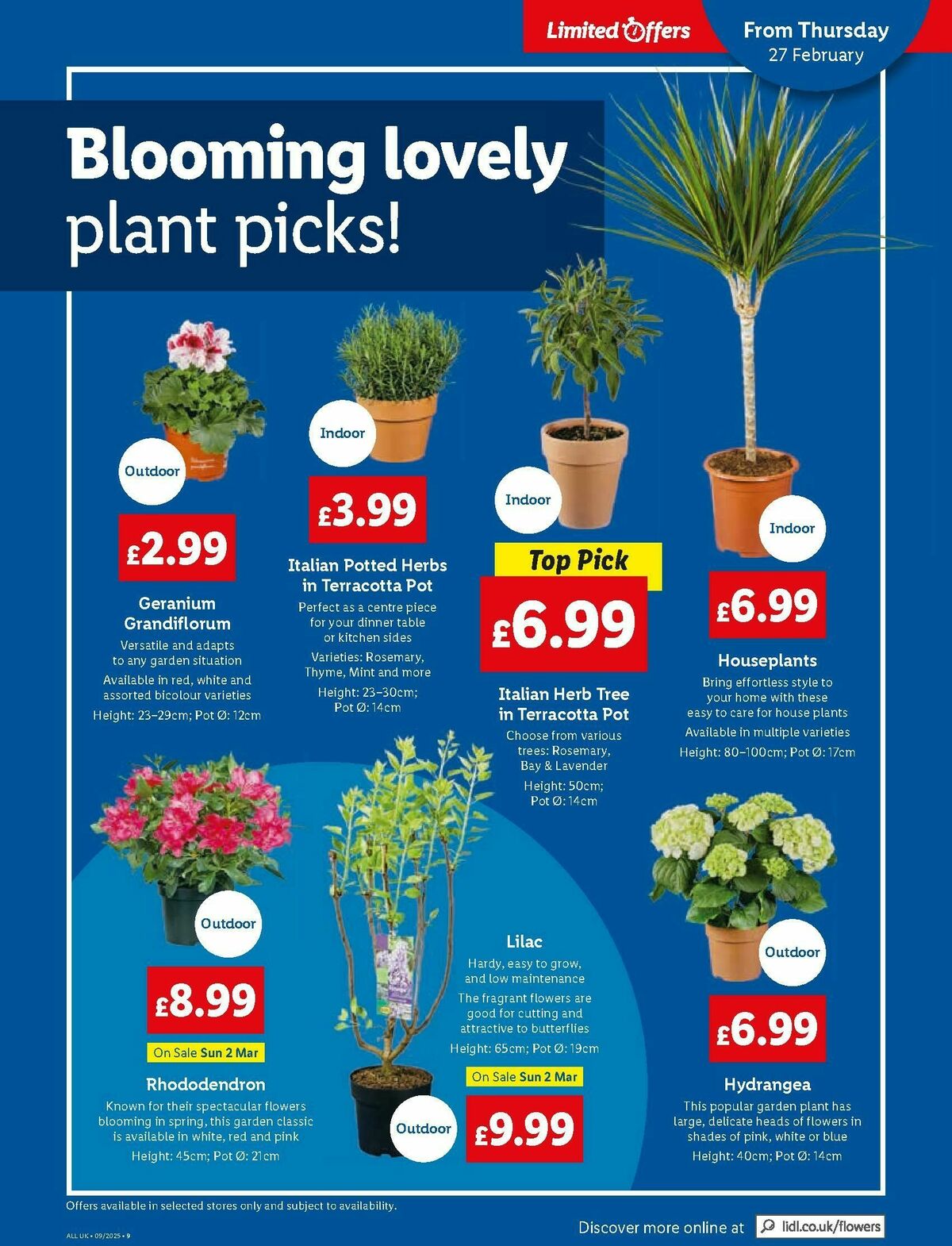 LIDL Wales Offers from 27 February