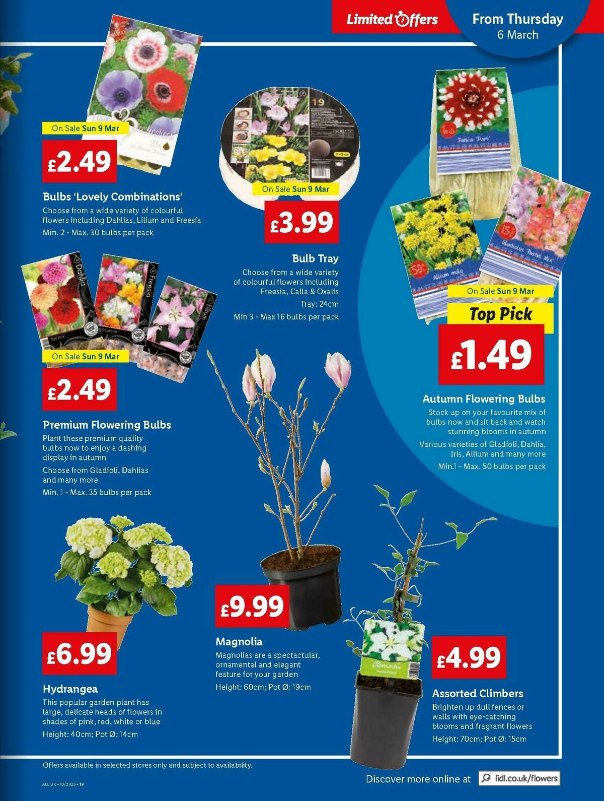 LIDL Offers from 6 March