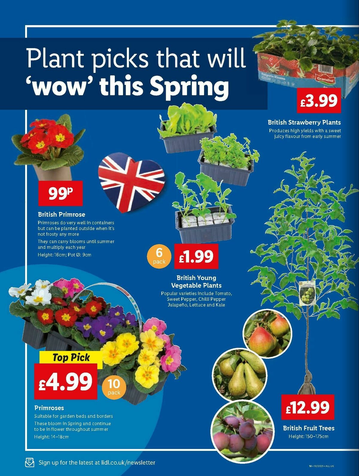 LIDL Wales Offers from 6 March