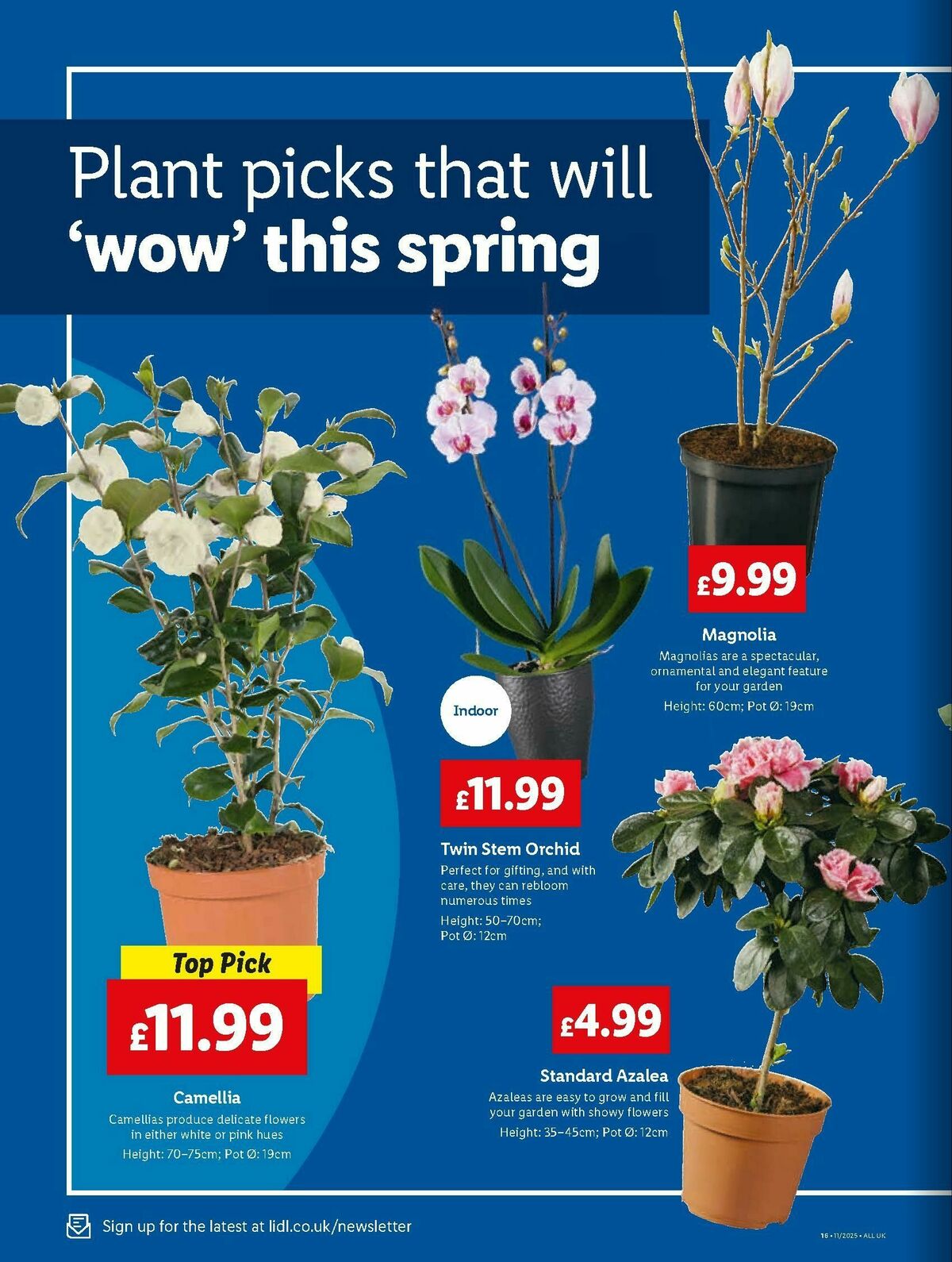 LIDL Scotland Offers from 13 March