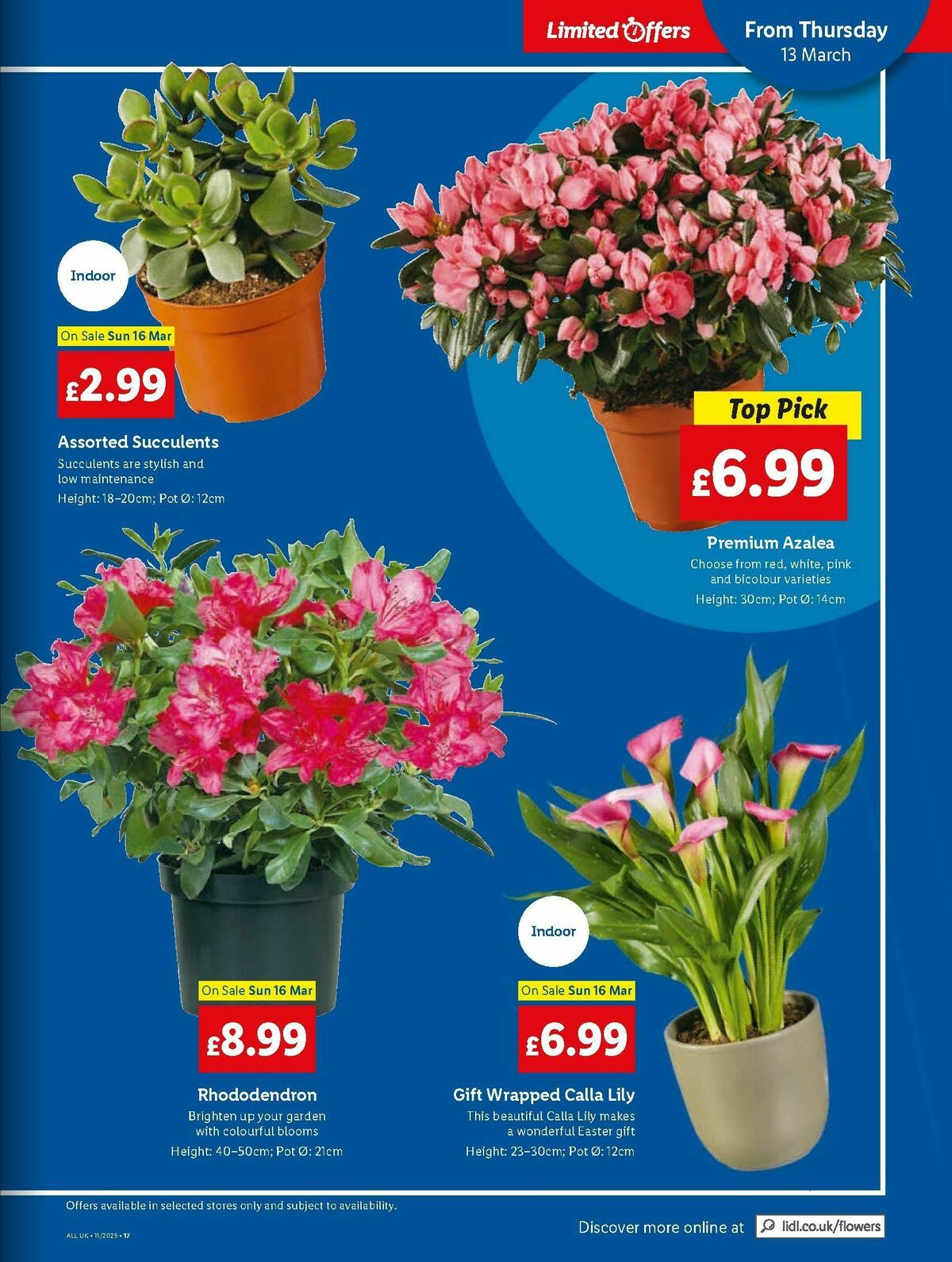 LIDL Scotland Offers from 13 March