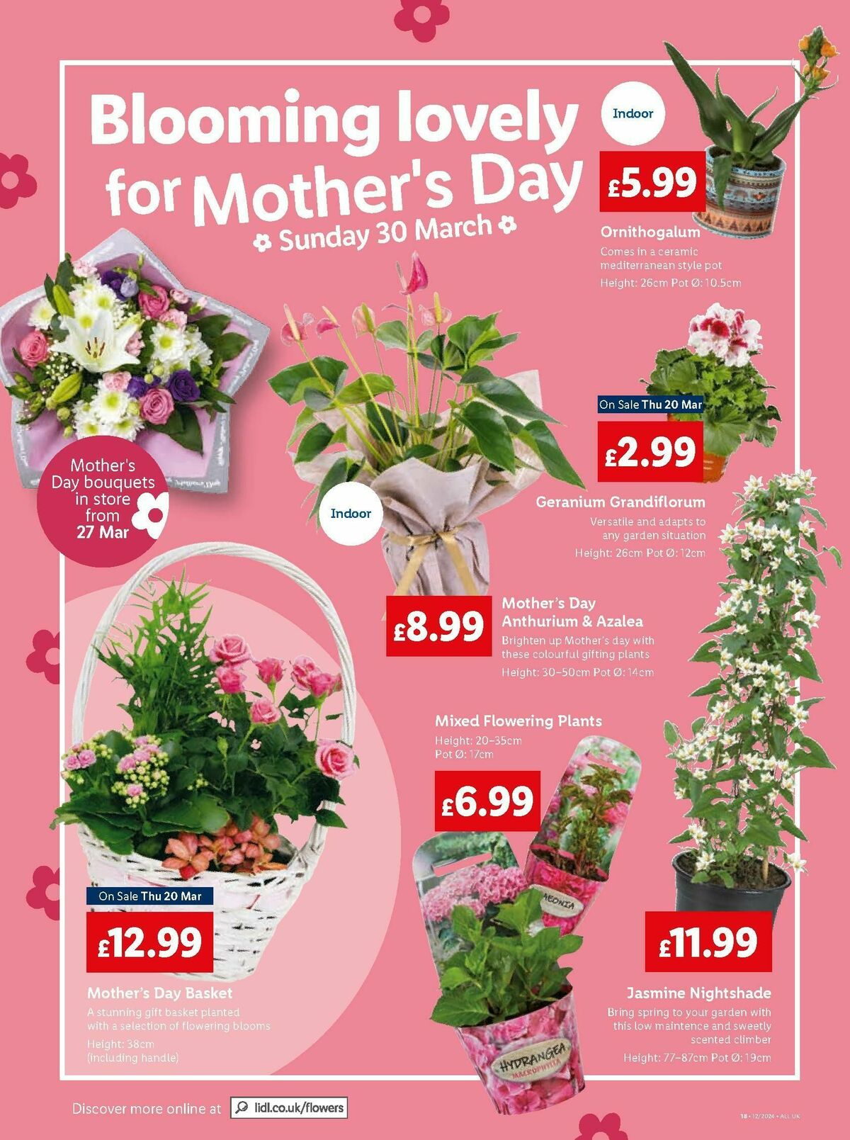 LIDL Wales Offers from 20 March