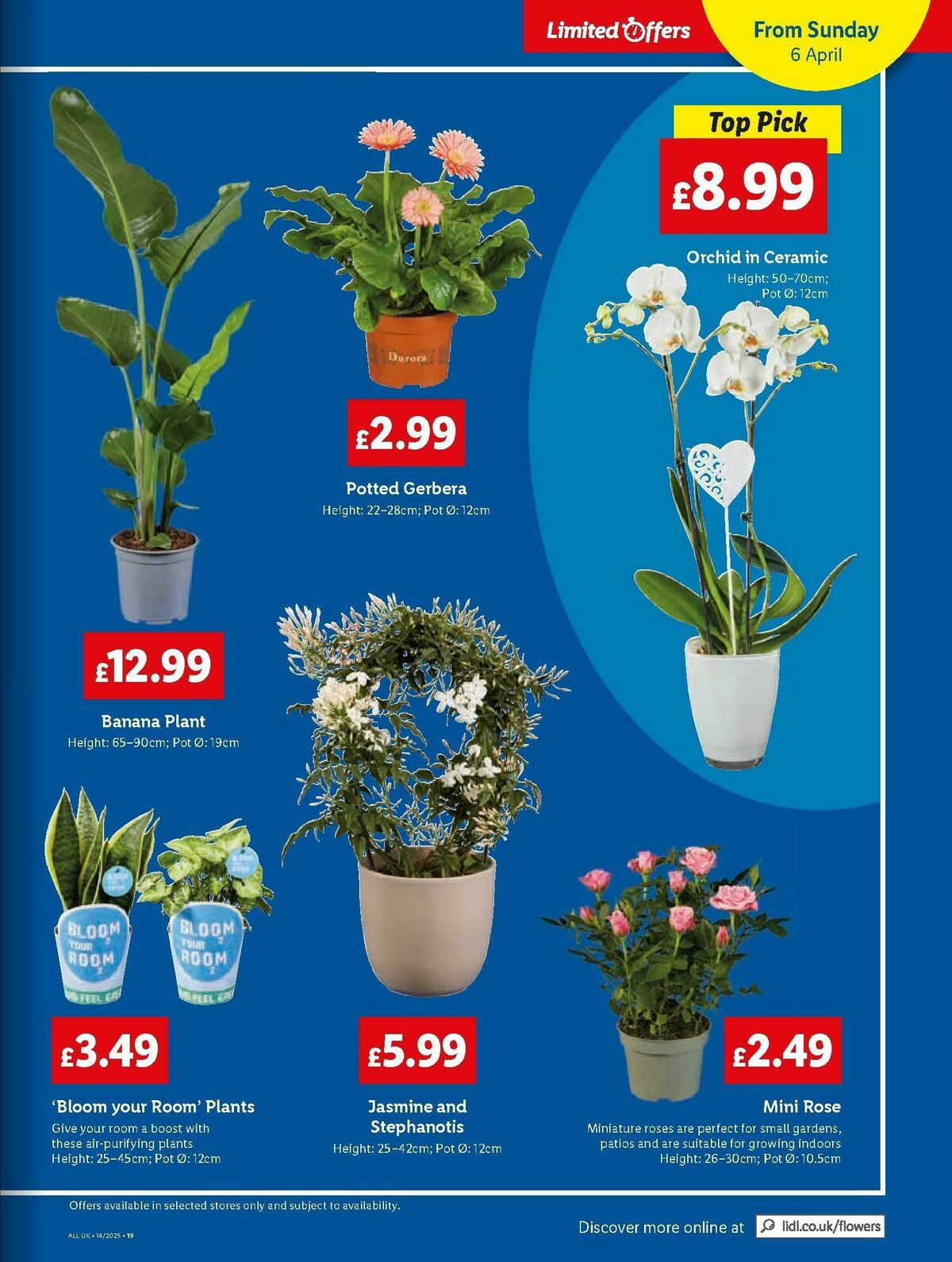 LIDL Scotland Offers from 3 April