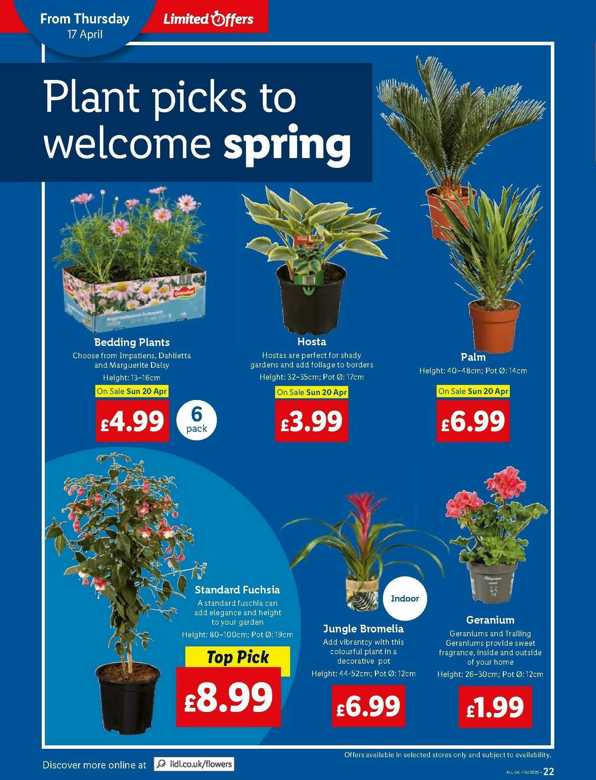 LIDL Offers from 17 April
