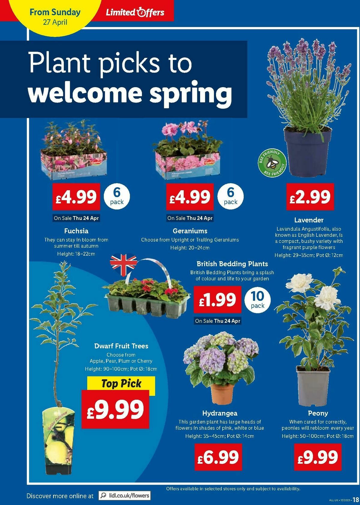 LIDL Wales Offers from 24 April