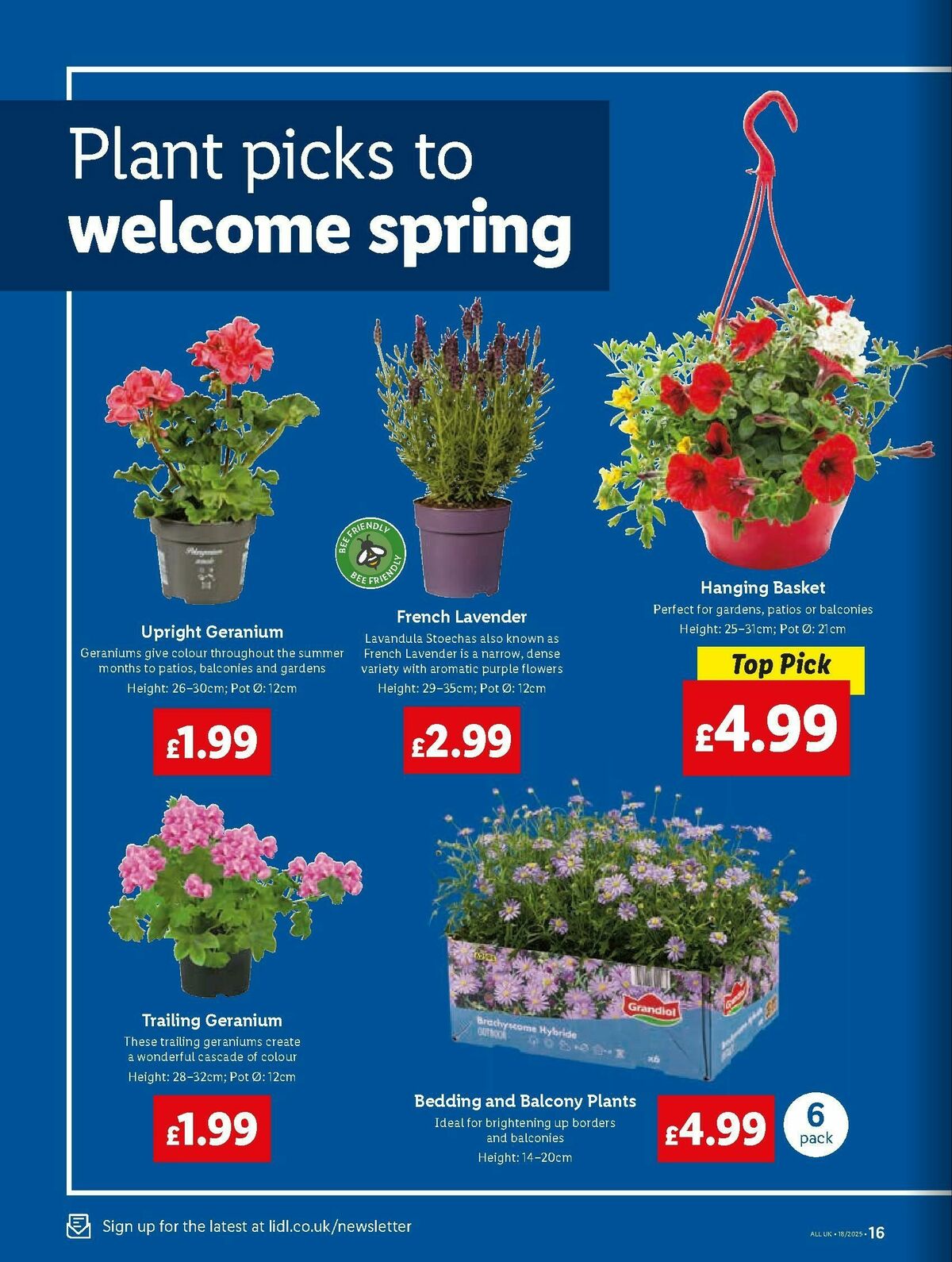 LIDL Scotland Offers from 1 May