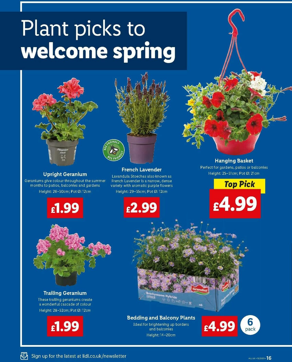 LIDL Wales Offers from 1 May