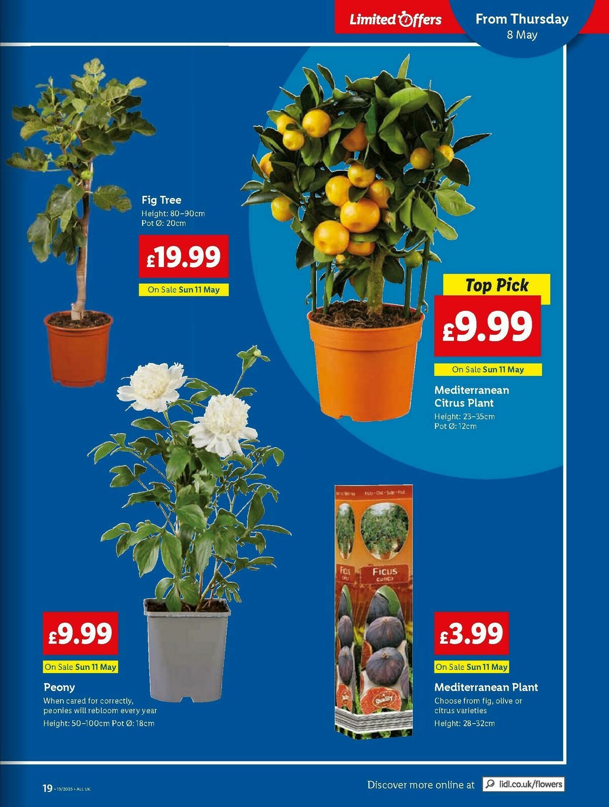 LIDL Scotland Offers from 8 May