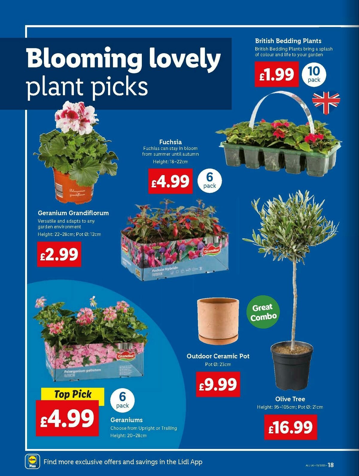 LIDL Wales Offers from 8 May