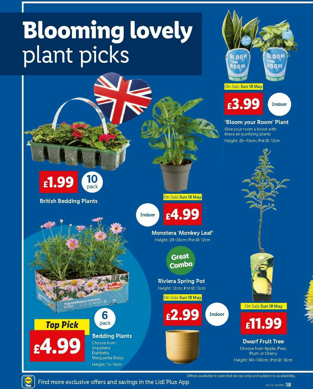 LIDL Offers from 15 May