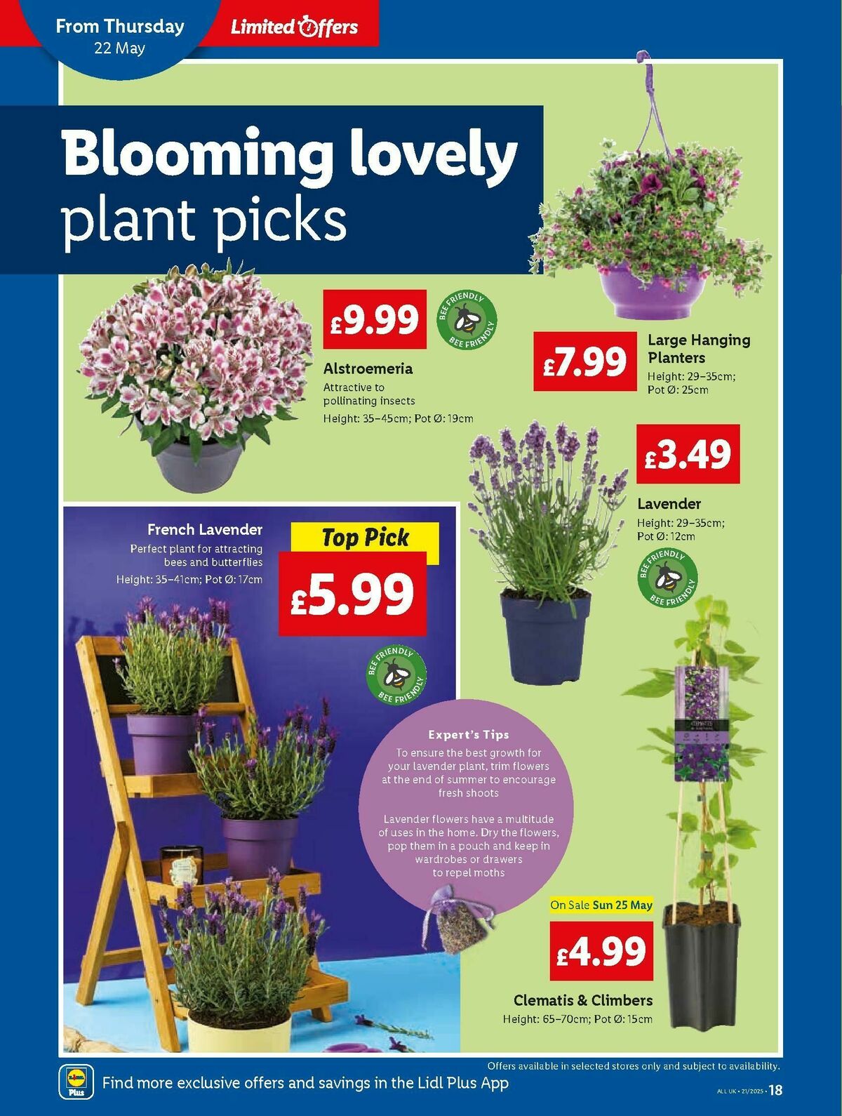 LIDL Offers from 22 May