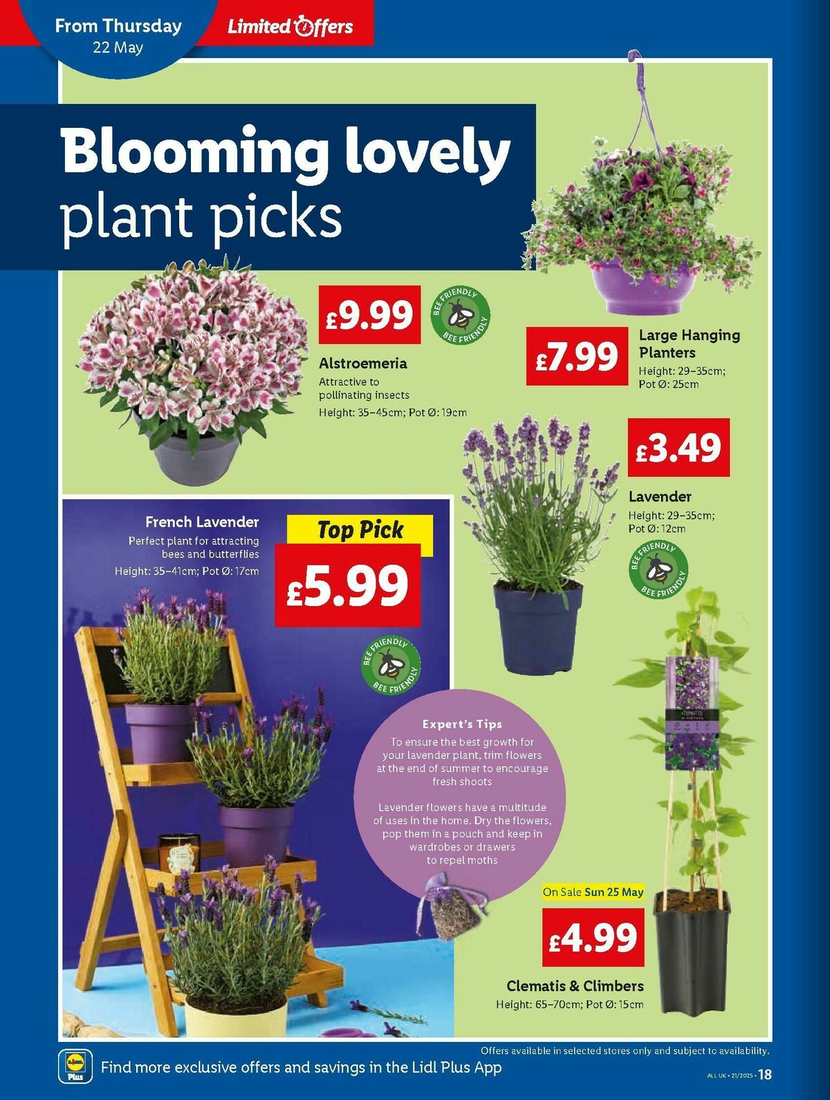 LIDL Wales Offers from 22 May