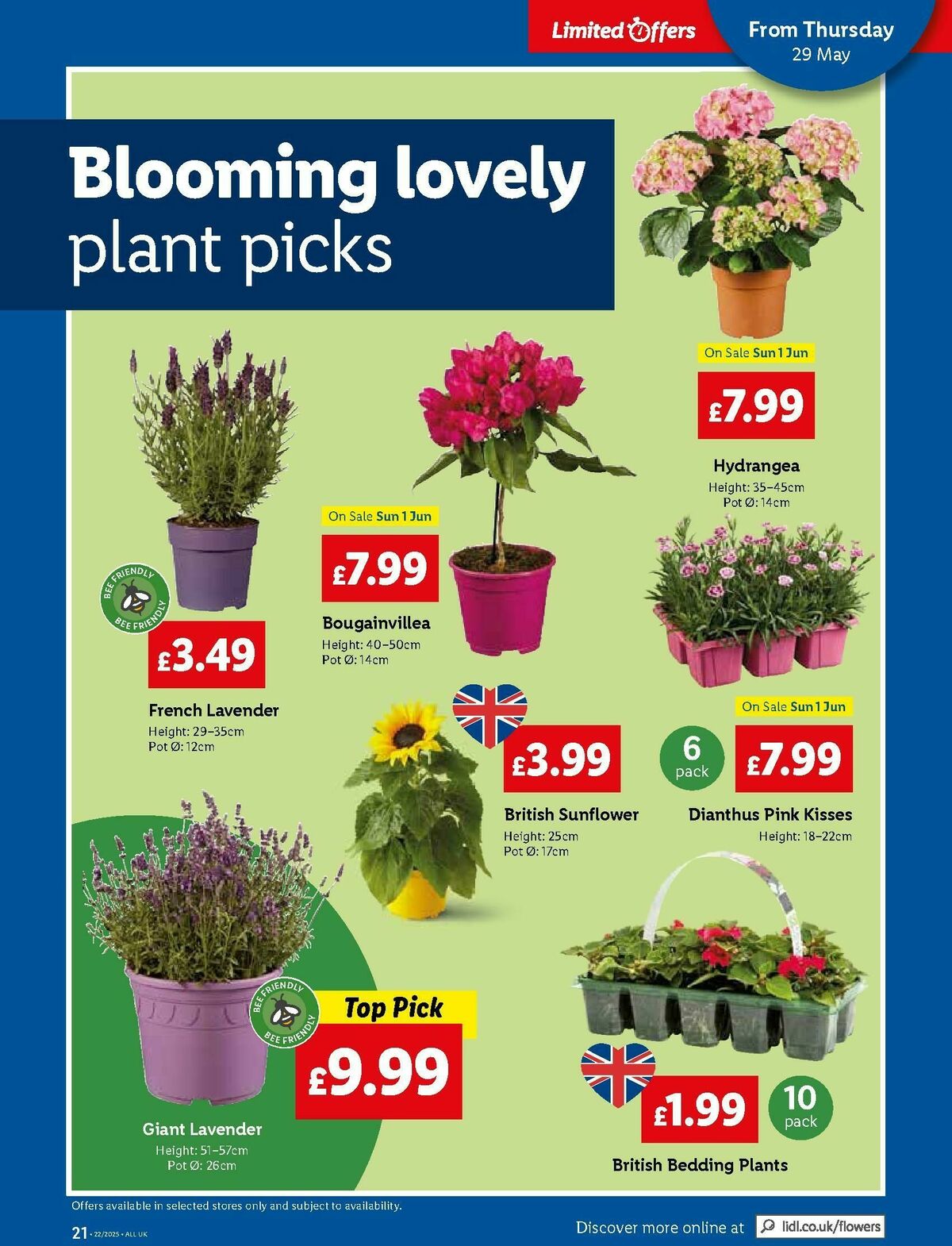 LIDL Offers from 29 May