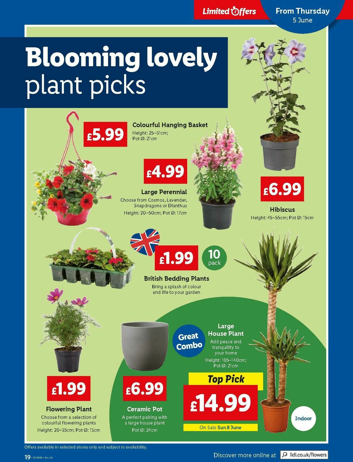 LIDL Wales Offers from 5 June