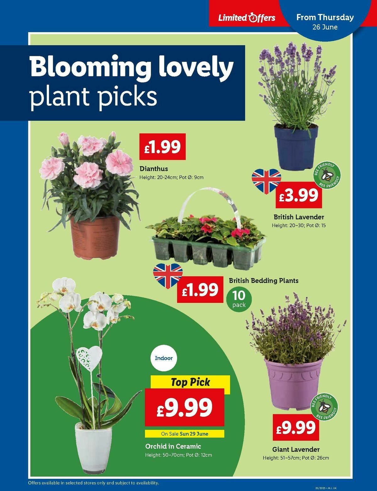 LIDL Wales Offers from 26 June