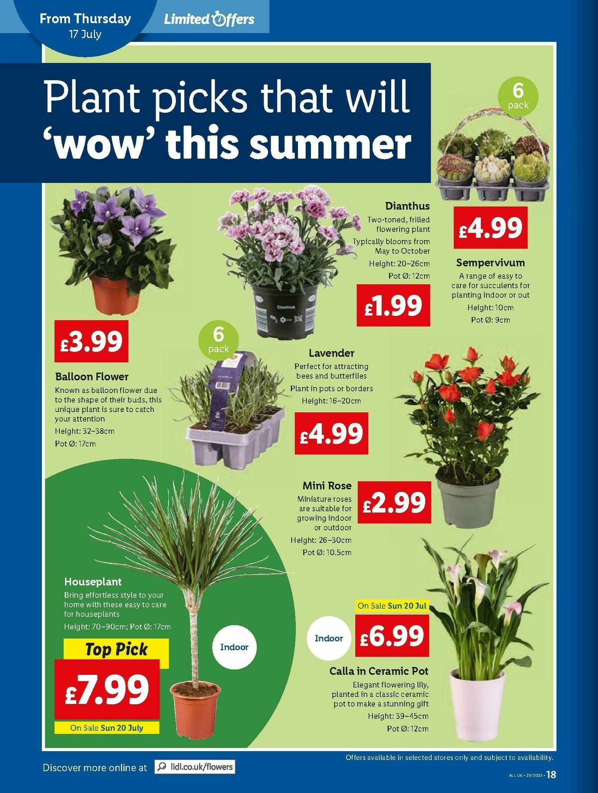 LIDL Offers from 17 July