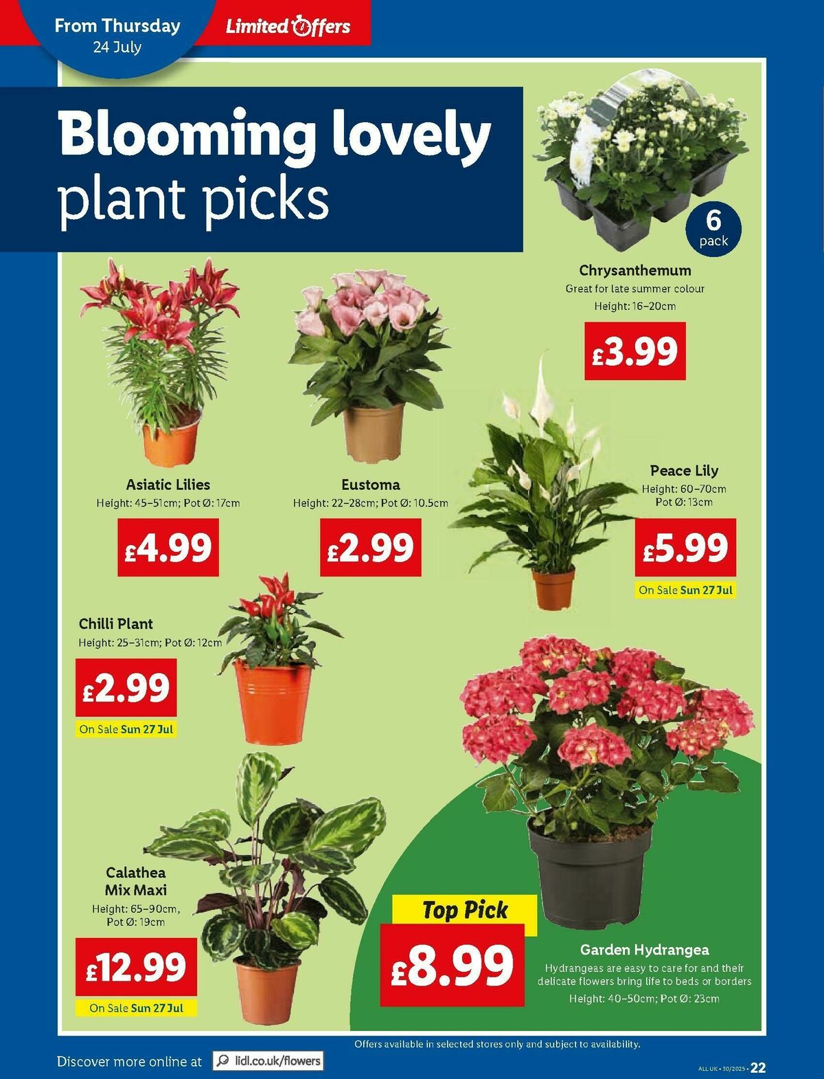 LIDL Offers from 24 July