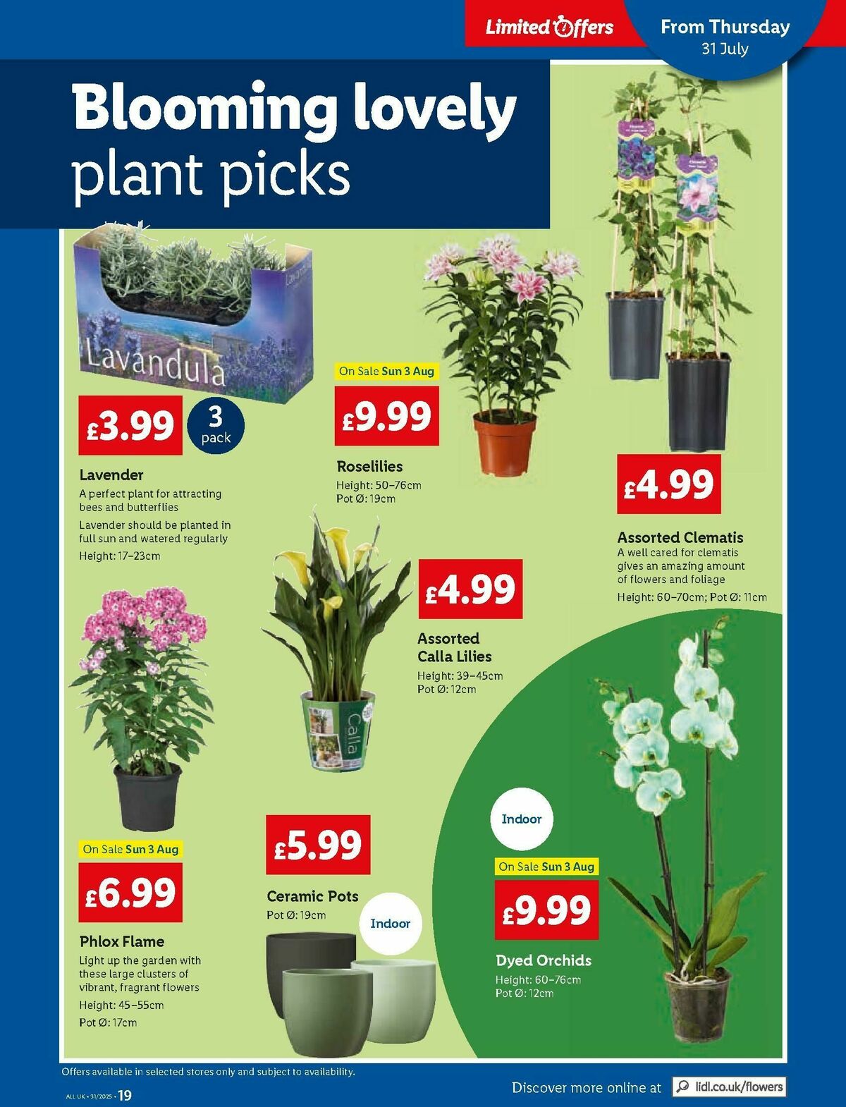 LIDL Scotland Offers from 31 July