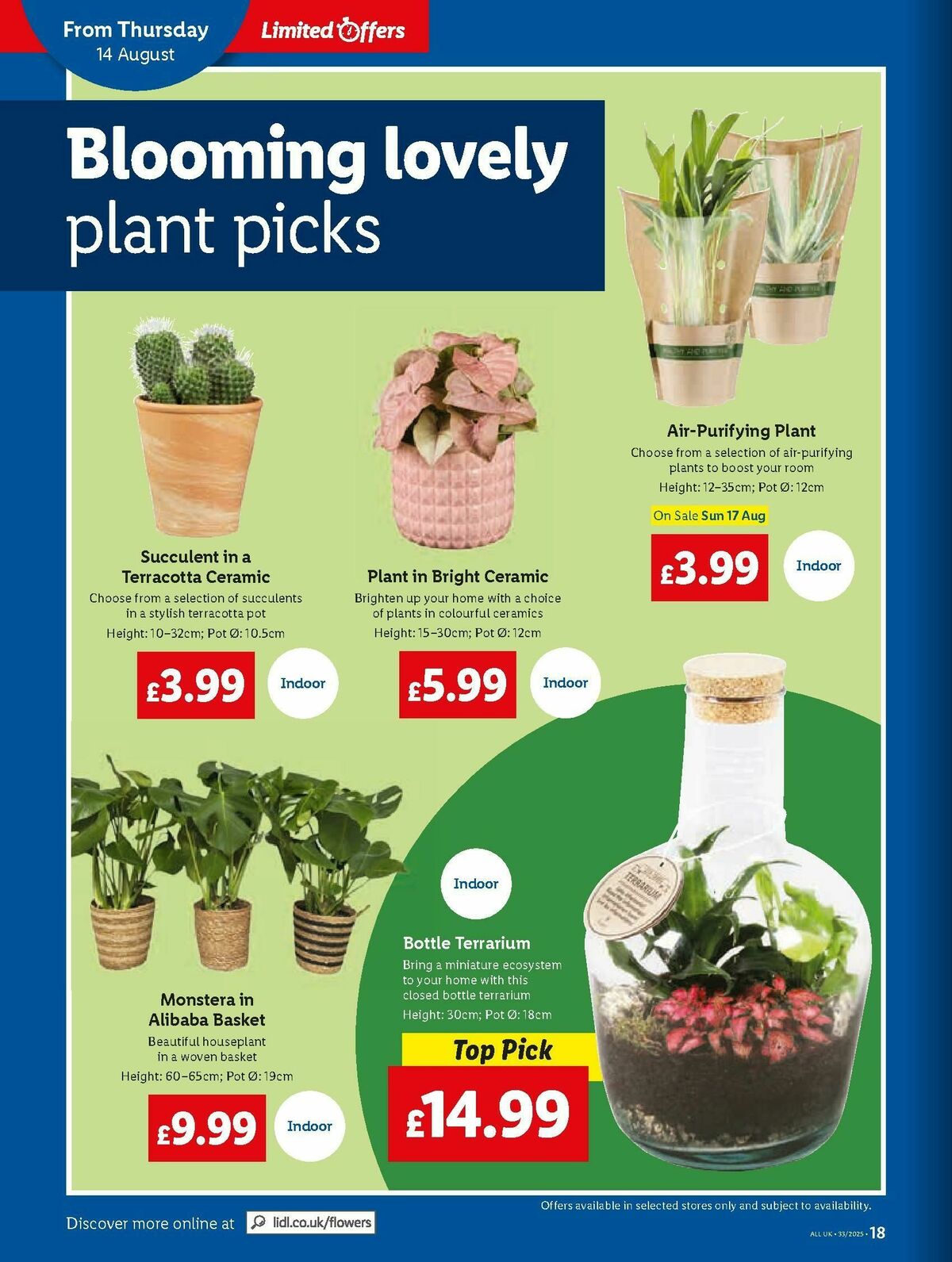 LIDL Scotland Offers from 14 August