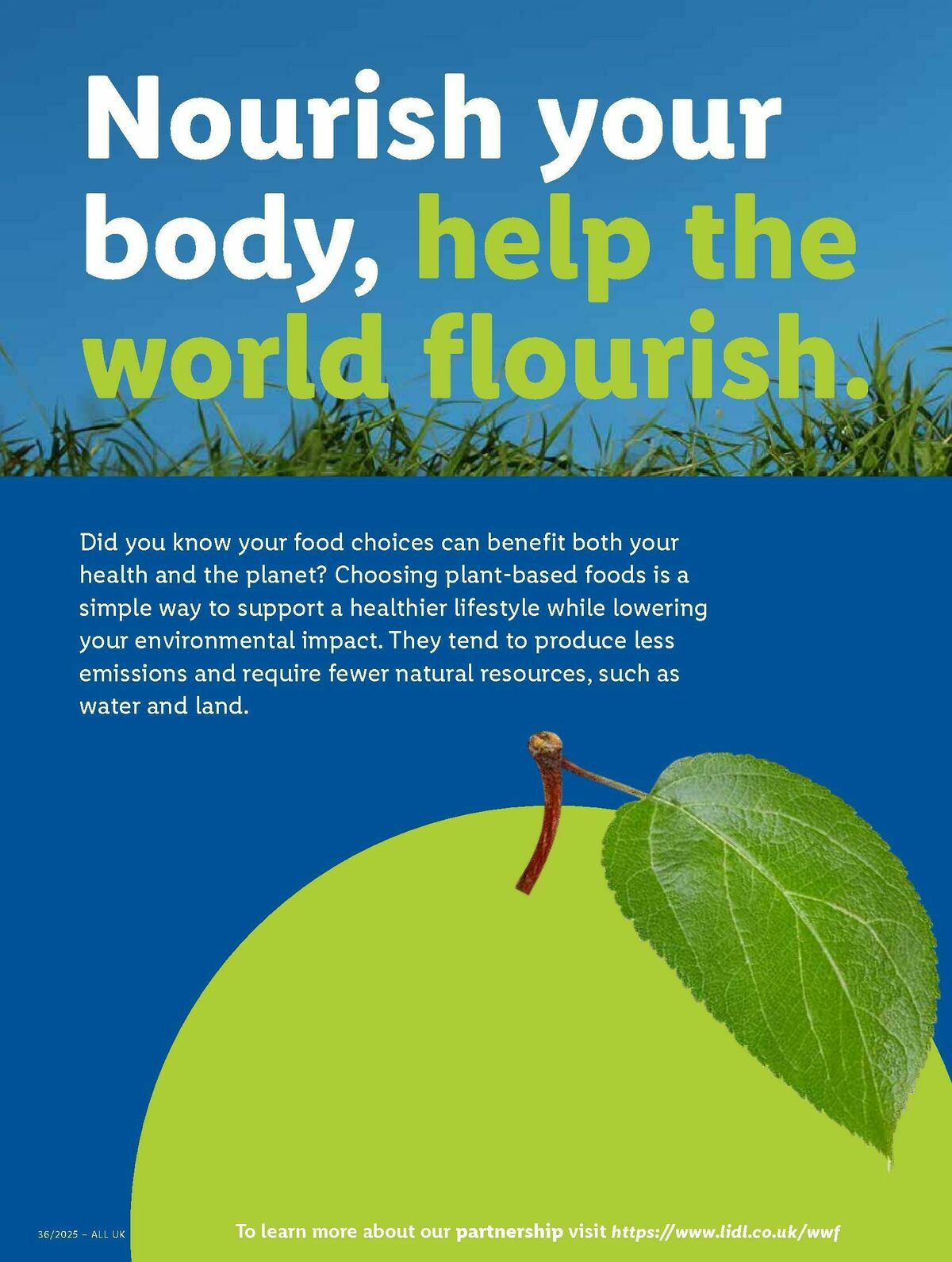 LIDL Offers from 4 September