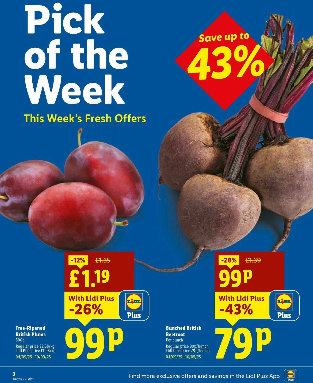LIDL Scotland Offers from 4 September