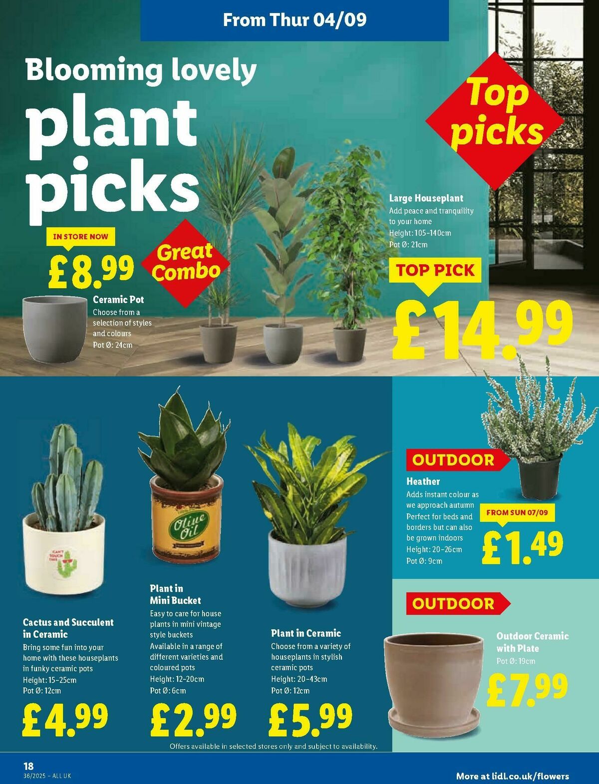 LIDL Scotland Offers from 4 September