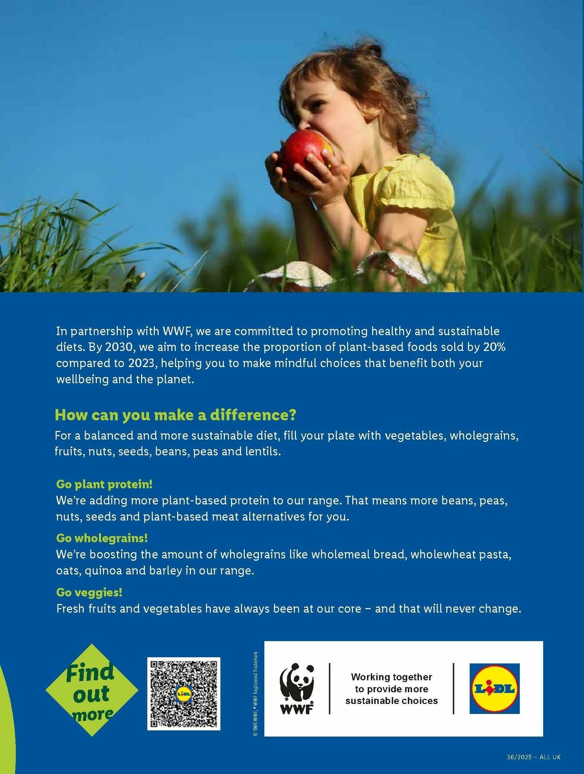 LIDL Wales Offers from 4 September